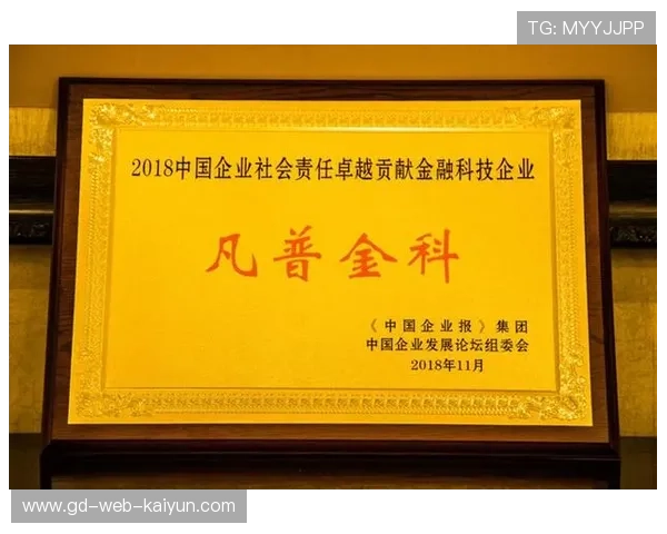 体育社会企业探索普惠运营，兼顾公共服务与市场效益。